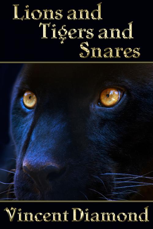 Cover of the book Lions and Tigers and Snares by Vincent Diamond, JMS Books LLC