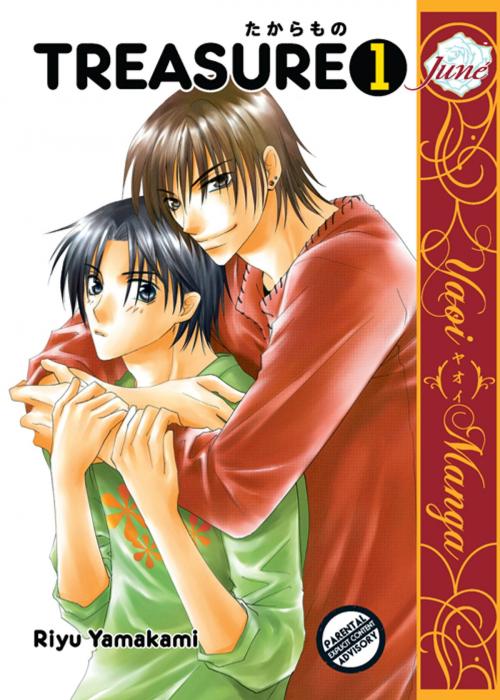 Cover of the book Treasure by Riyu Yamakami, Digital Manga, Inc.