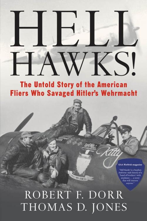 Cover of the book Hell Hawks! by Robert F. Dorr, Thomas D. Jones, Voyageur Press