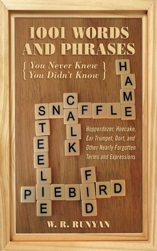 Cover of the book 1,001 Words and Phrases You Never Knew You Didn't Know by W. R. Runyan, Skyhorse