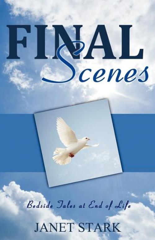 Cover of the book Final Scenes: Bedside Tales at End of Life by Janet Stark, Word Alive Press