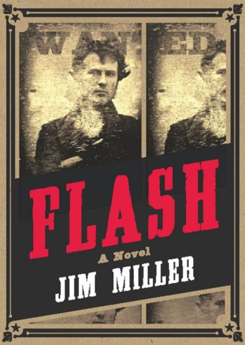 Cover of the book Flash by Jim Miller, AK Press