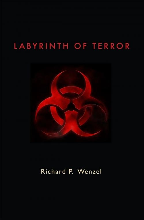 Cover of the book Labyrinth of Terror by Richard Wenzel, Brandylane Publishers