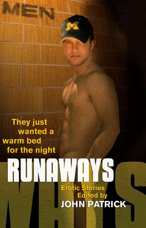 Cover of the book Runaways by , STARbooks Press