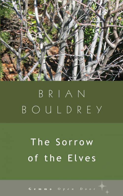 Cover of the book The Sorrow of Elves by Brian Bouldrey, GemmaMedia