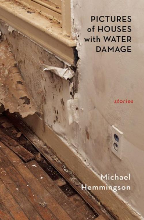 Cover of the book Pictures of Houses with Water Damage by Michael Hemmingson, Dzanc Books