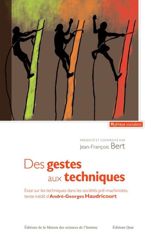 Cover of the book Des gestes aux techniques by Jean-François Bert, Quae