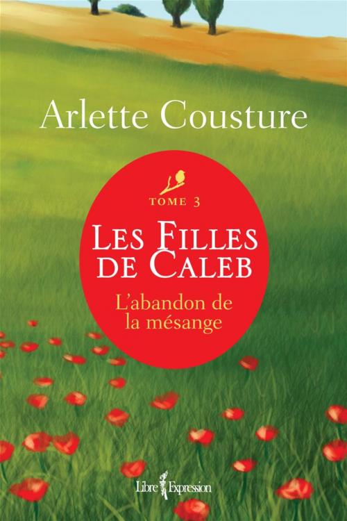 Cover of the book Les Filles de Caleb - Tome 3 by Arlette Cousture, Libre Expression