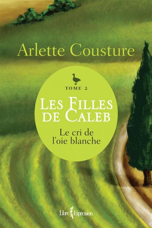Cover of the book Les Filles de Caleb - Tome 2 by Arlette Cousture, Libre Expression