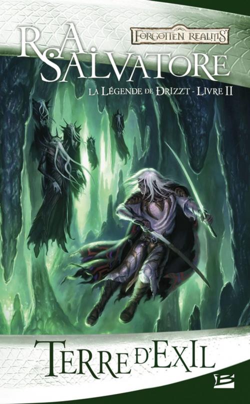 Cover of the book Terre d'Exil: La Légende de Drizzt, T2 by R.A. Salvatore, Bragelonne