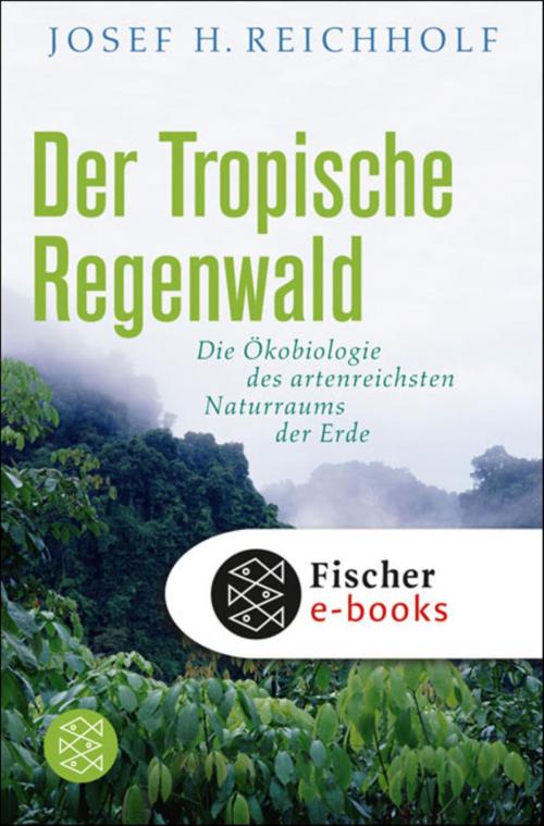 Cover of the book Der tropische Regenwald by Prof. Dr. Josef H. Reichholf, FISCHER E-Books