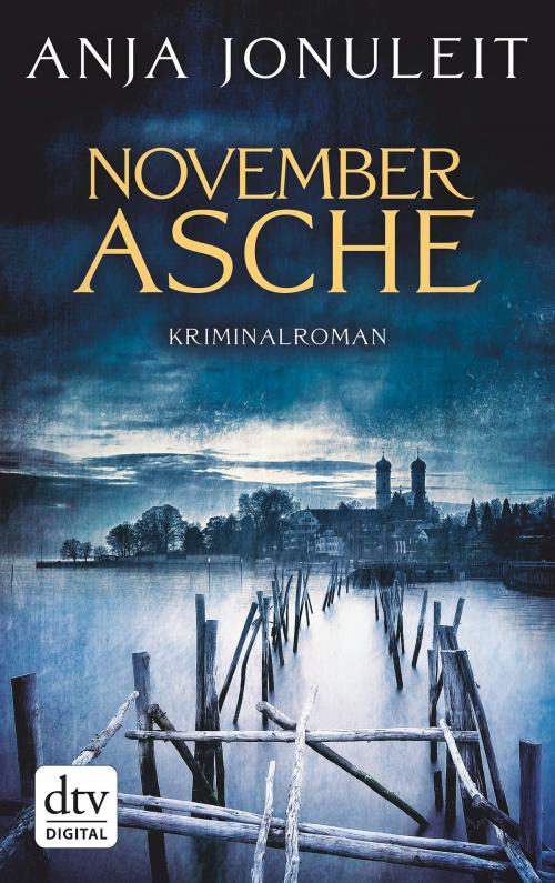 Cover of the book Novemberasche by Anja Jonuleit, dtv Verlagsgesellschaft mbH & Co. KG