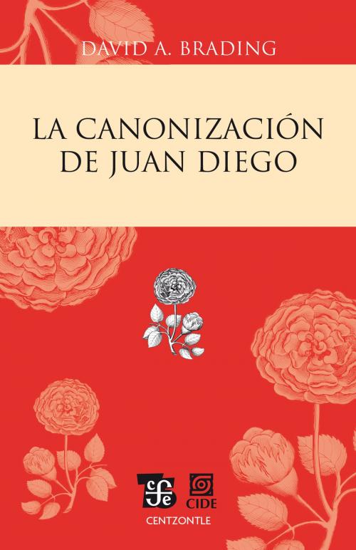 Cover of the book La canonización de Juan Diego by David A. Brading, Fondo de Cultura Económica