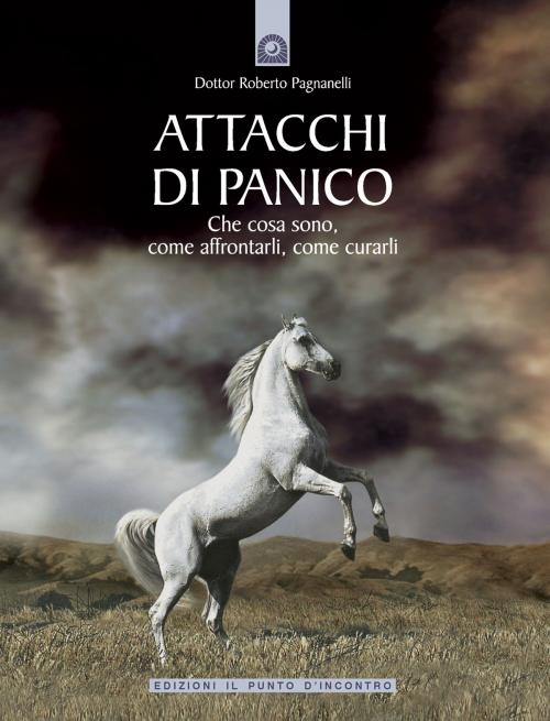 Cover of the book Attacchi di panico by Roberto Pagnanelli, Edizioni il Punto d'Incontro