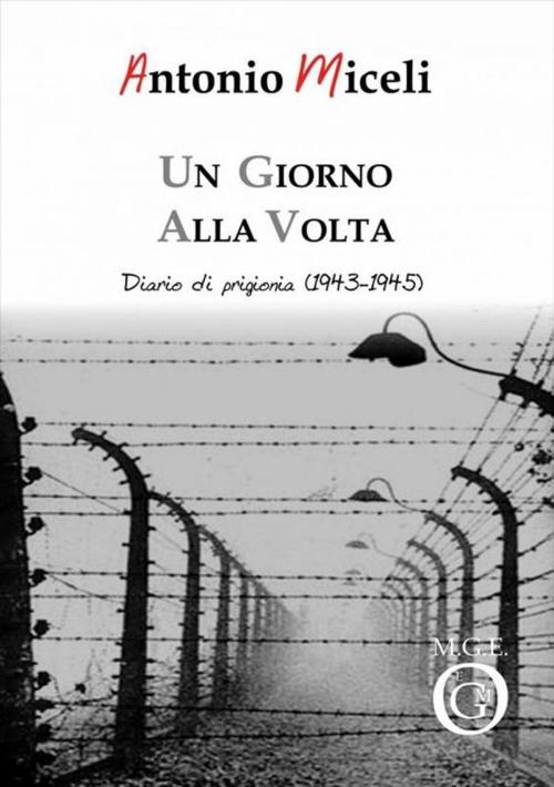 Cover of the book Un giorno alla volta by Antonio Miceli, Meligrana Giuseppe Editore