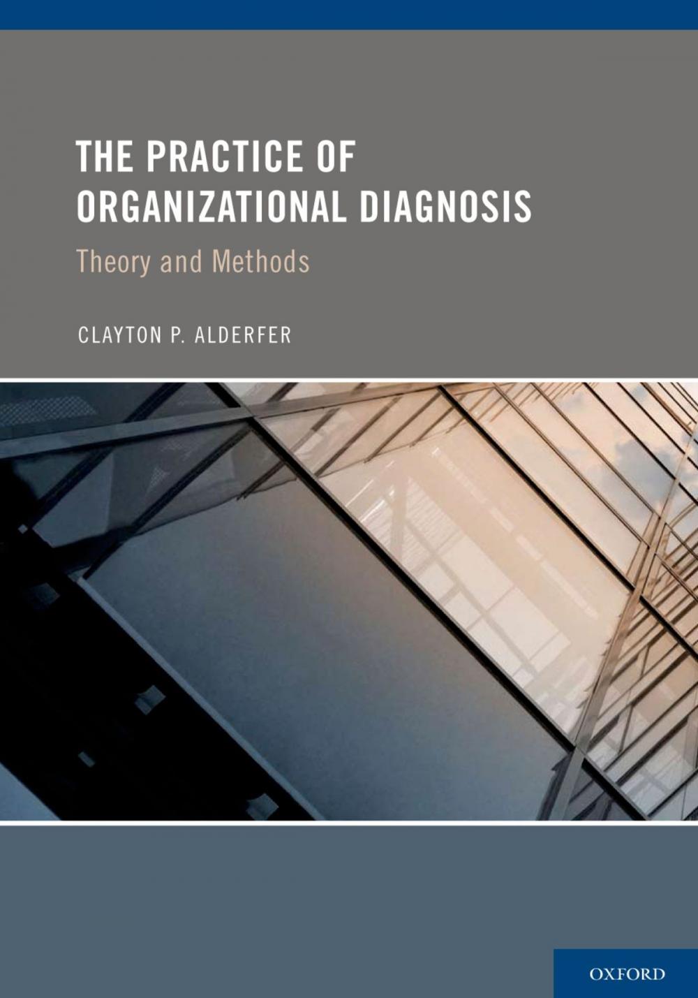 Big bigCover of The Practice of Organizational Diagnosis