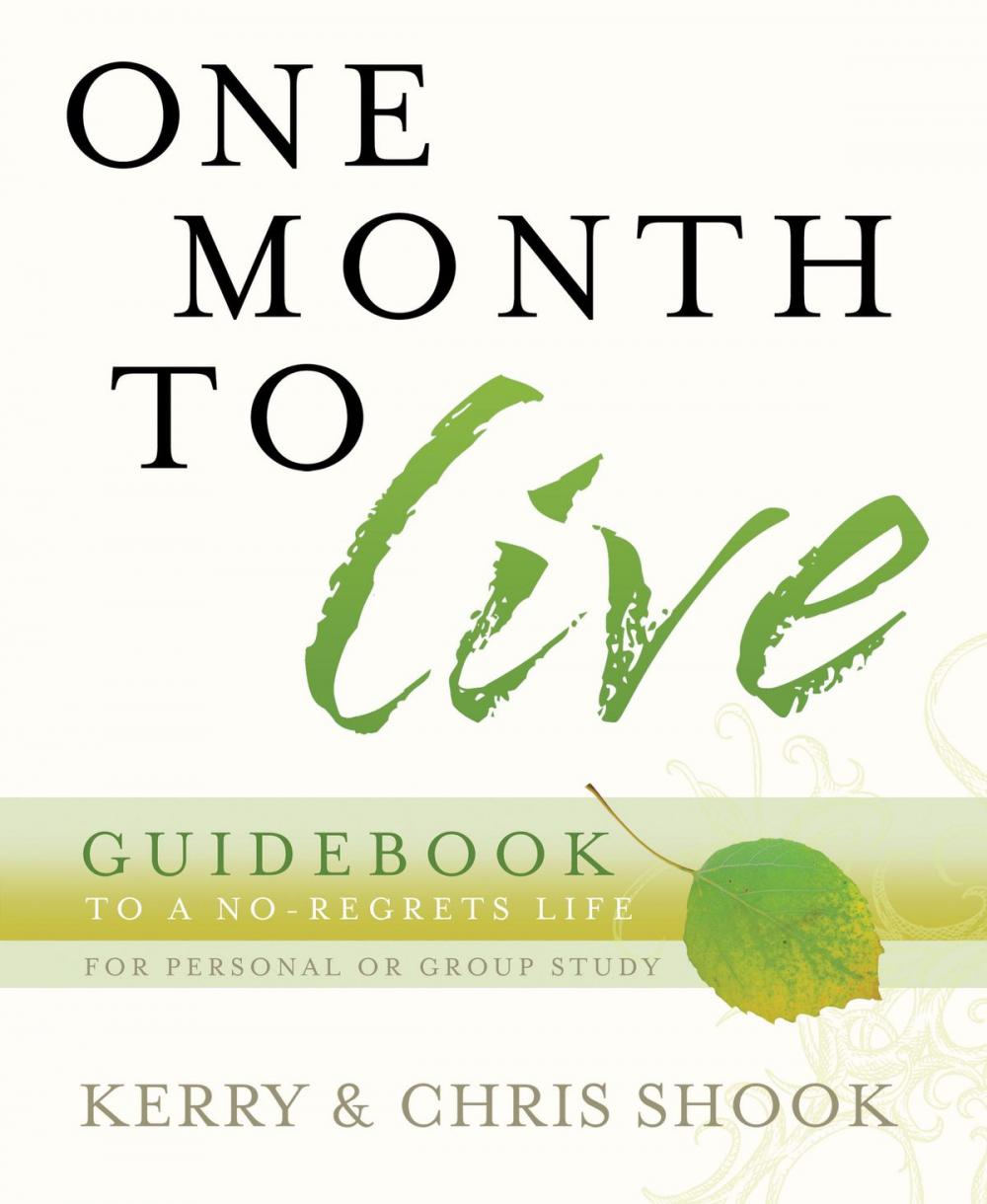 Big bigCover of One Month to Live Guidebook