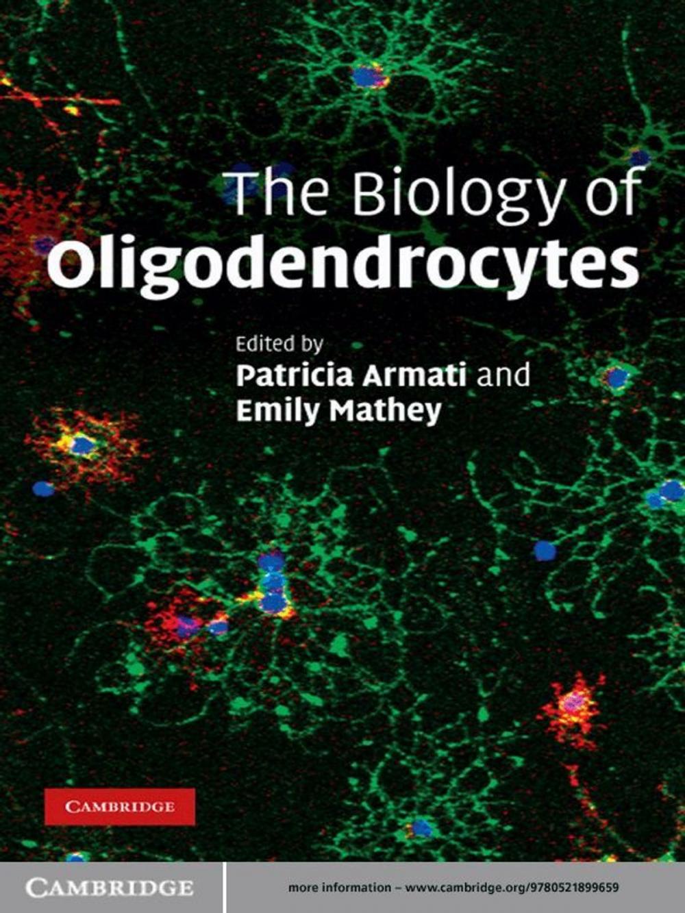 Big bigCover of The Biology of Oligodendrocytes