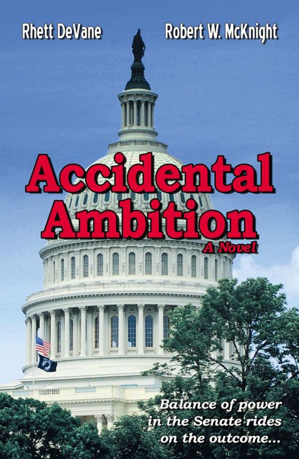 Big bigCover of Accidental Ambition