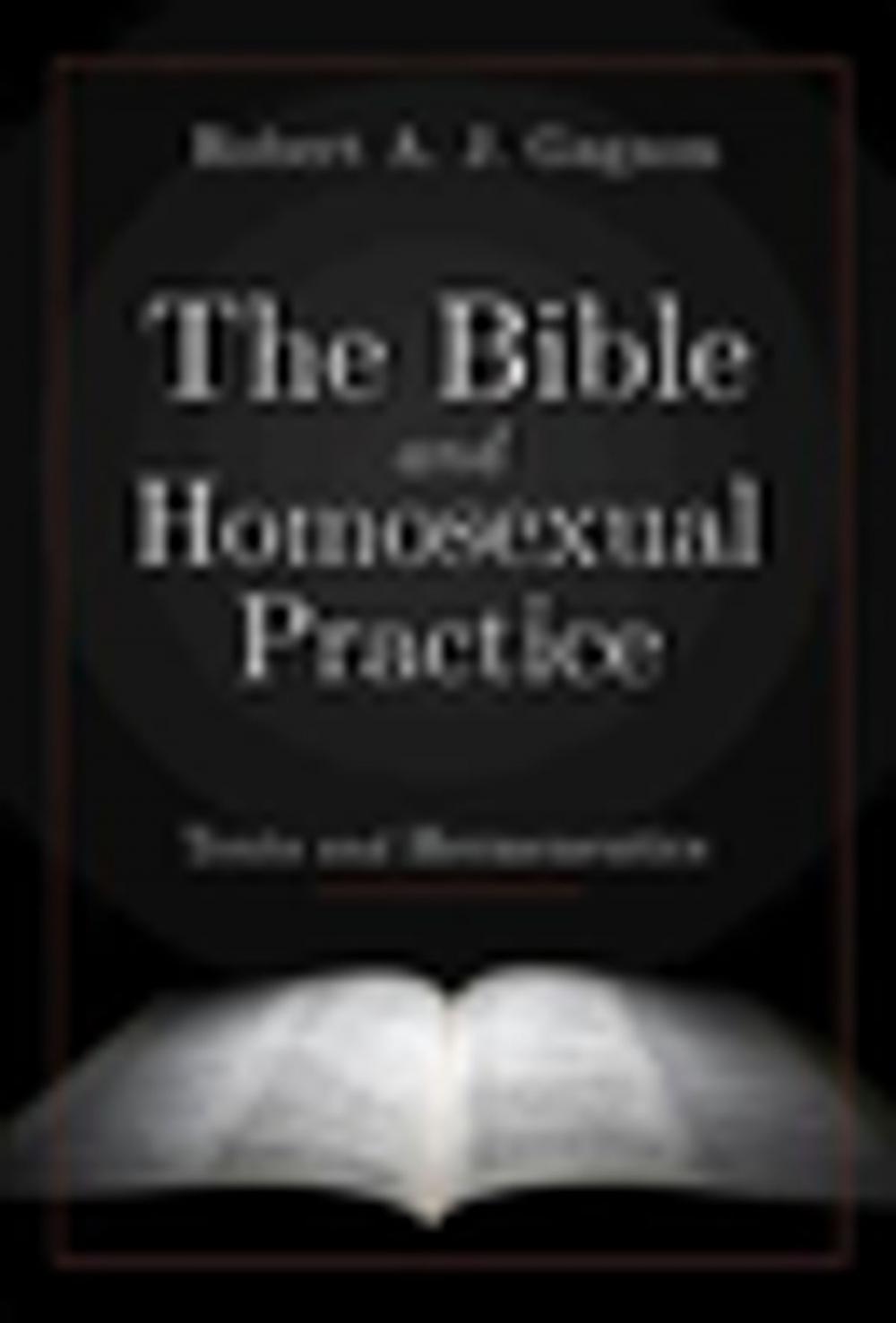 Big bigCover of The Bible and Homosexual Practice