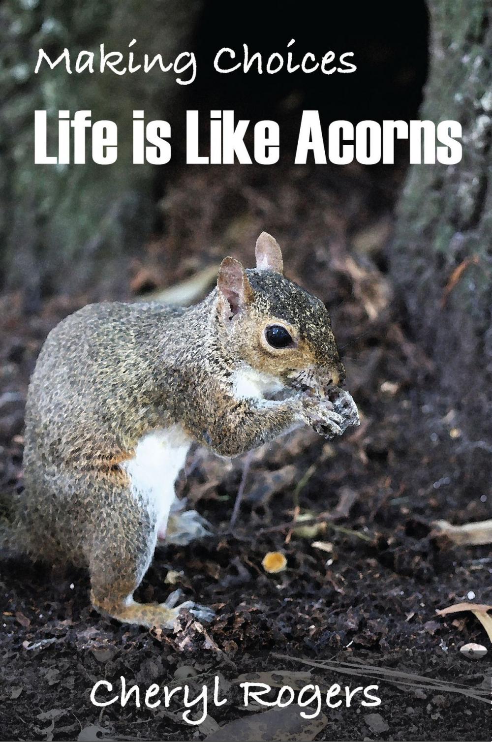 Big bigCover of Making Choices: Life is Like Acorns