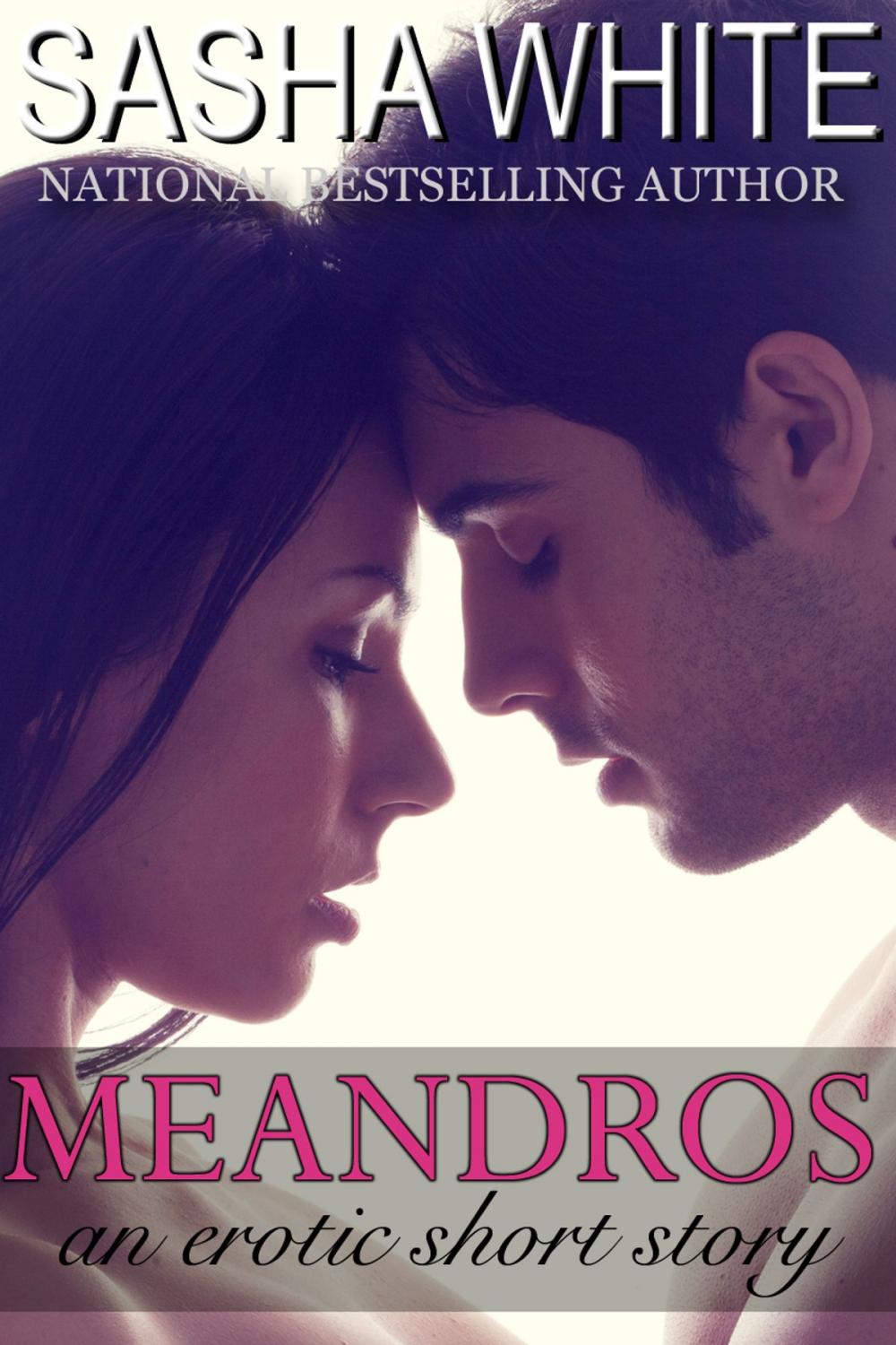 Big bigCover of Meandros; An Erotic Journey