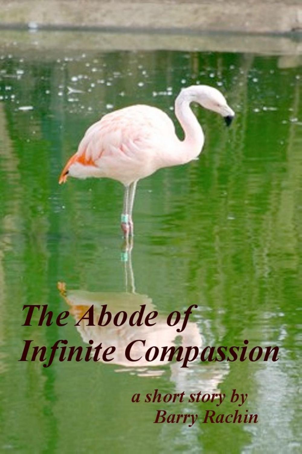 Big bigCover of The Abode of Infinite Compassion