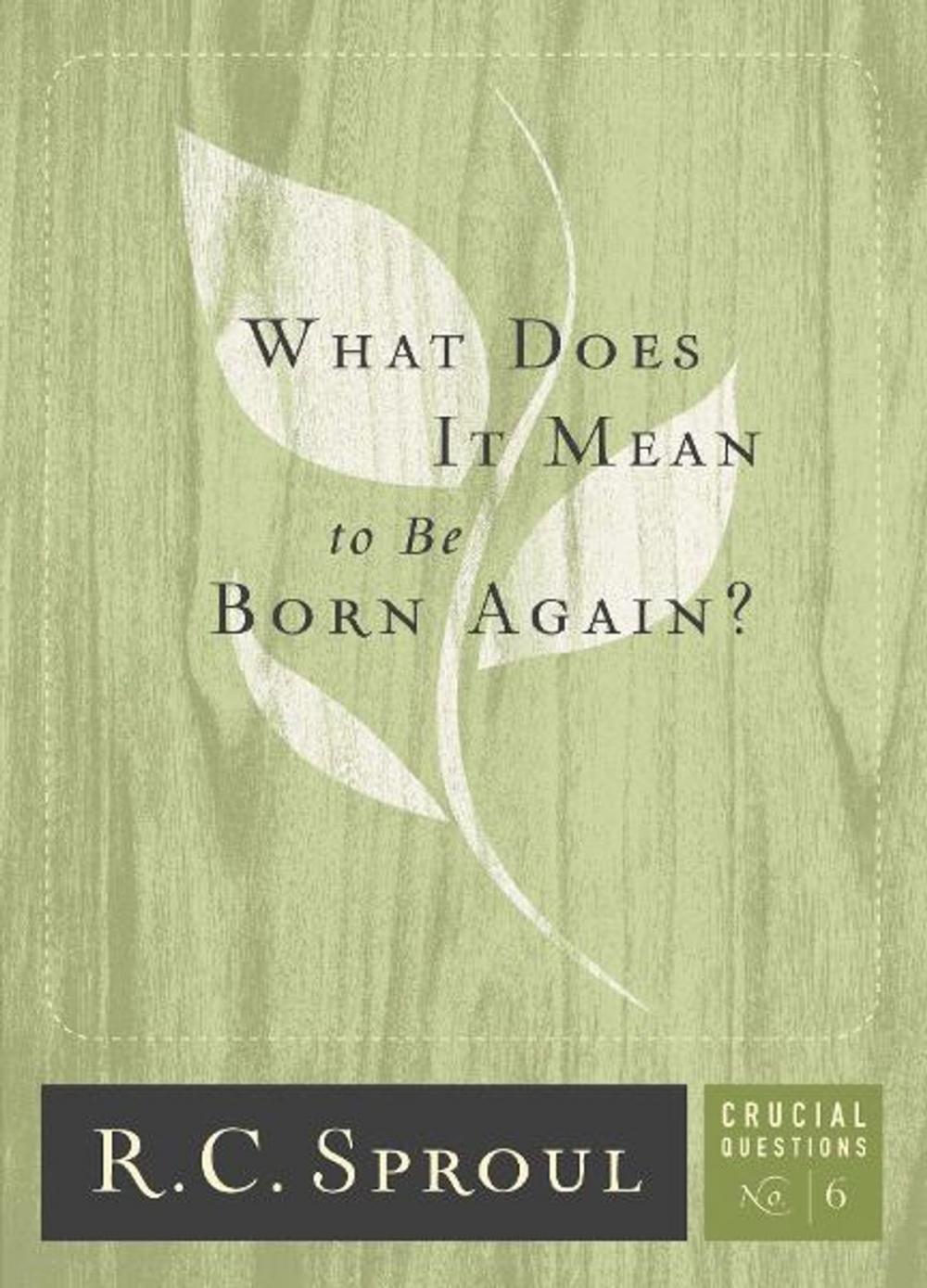 Big bigCover of What does it mean to be born again?