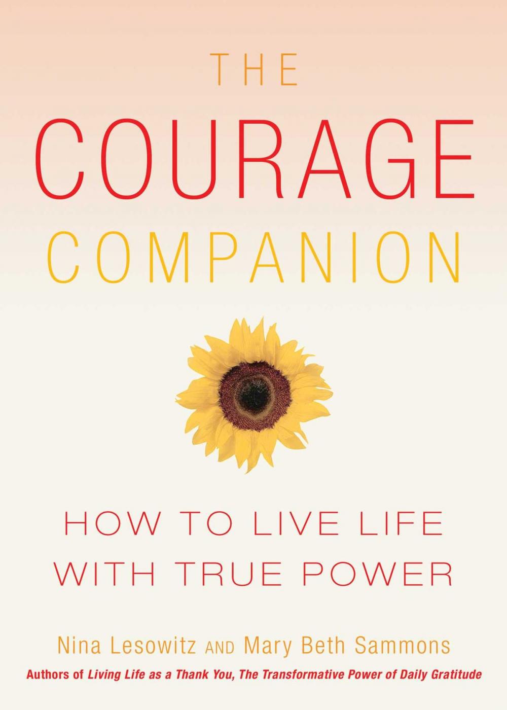 Big bigCover of The Courage Companion