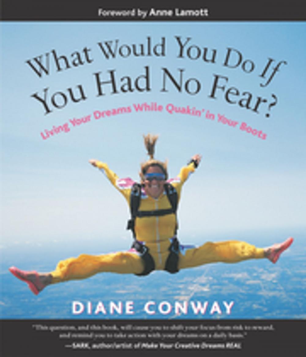 Big bigCover of What Would You Do If You Had No Fear?