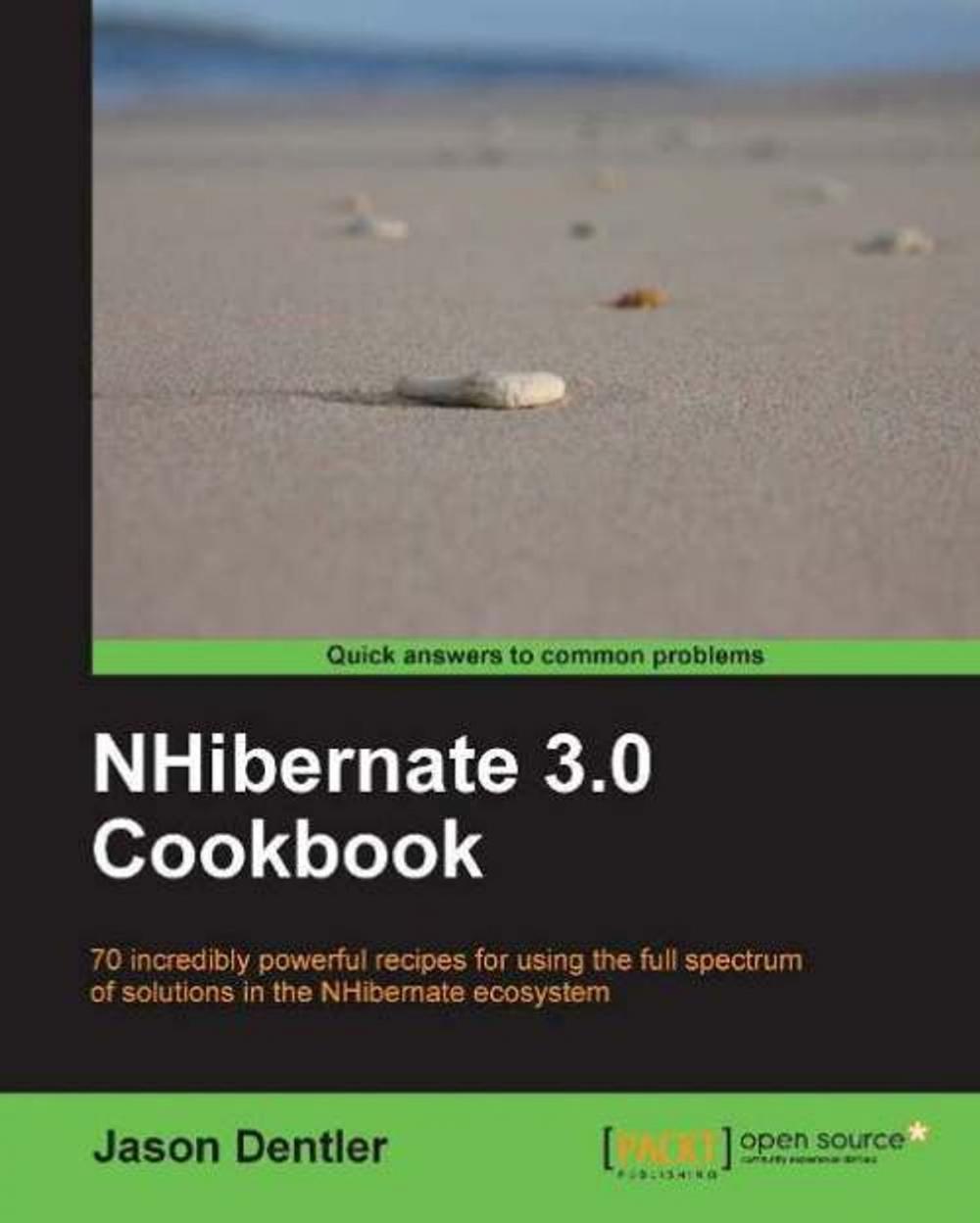 Big bigCover of NHibernate 3.0 Cookbook