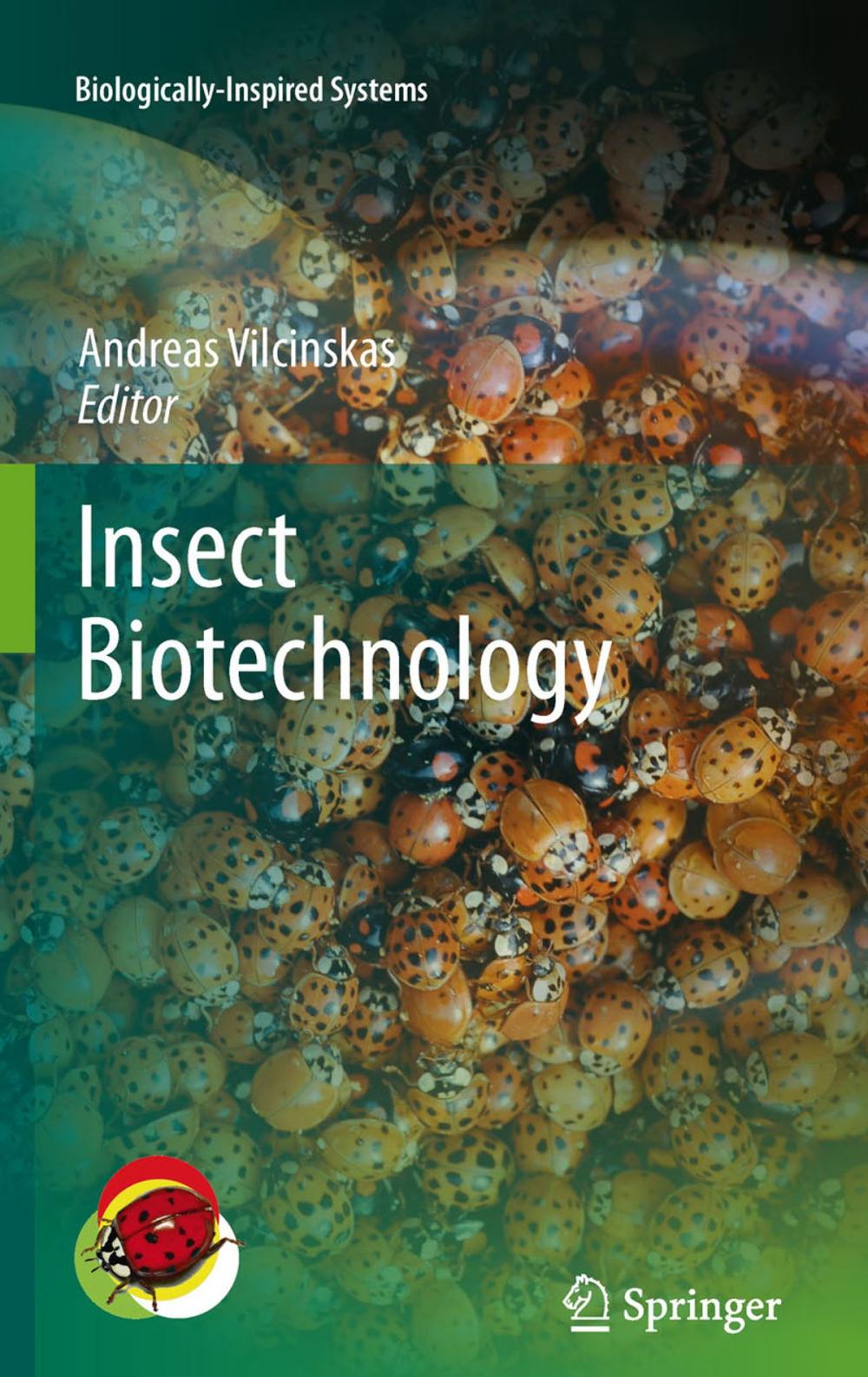 Big bigCover of Insect Biotechnology