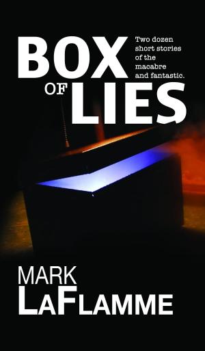 Cover of the book Box of Lies by Emily Craven