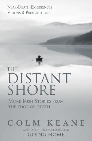 Cover of the book The Distant Shore by Joseph Fiksel