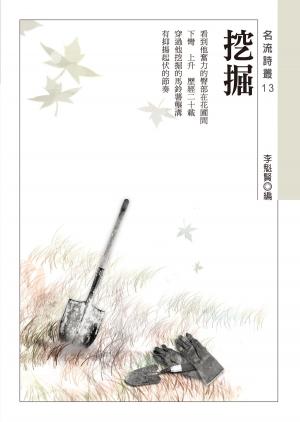 Cover of the book 挖掘 by Ian Paterson, Graham Wilson, Darryl Kelly, Steve Wilson