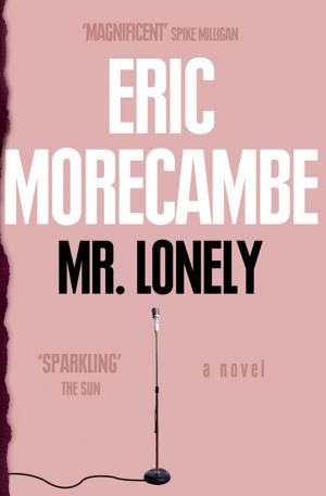 Book cover of Mr Lonely