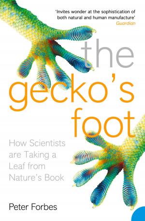bigCover of the book The Gecko’s Foot: How Scientists are Taking a Leaf from Nature's Book by 