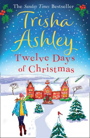 Cover of the book Twelve Days of Christmas by Derek Landy