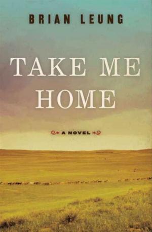 Cover of the book Take Me Home by Alexander Roy