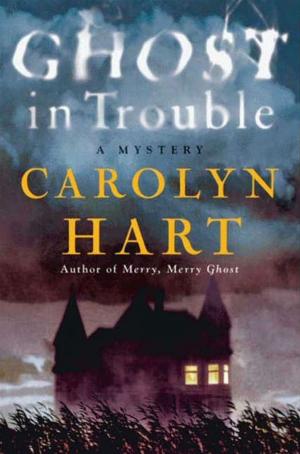 Cover of the book Ghost in Trouble by Mark Adams
