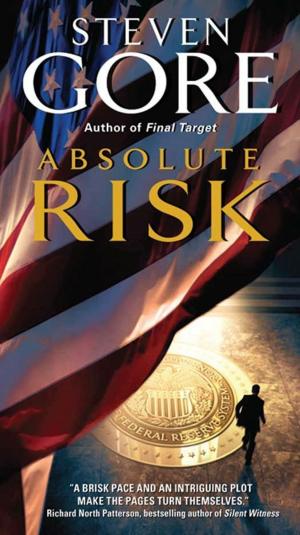 Cover of the book Absolute Risk by Laura Brodie