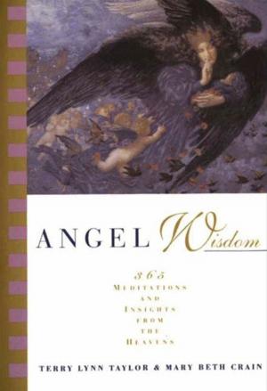 Cover of the book Angel Wisdom by Reductress, Beth Newell, Sarah Pappalardo, Anna Drezen