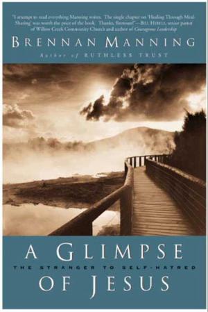 Cover of the book A Glimpse of Jesus by Julia Hill