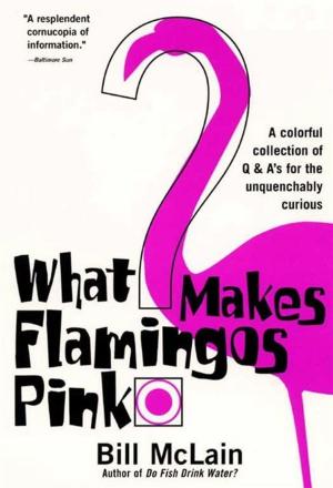 Cover of the book What Makes Flamingos Pink? by Diana Vreeland