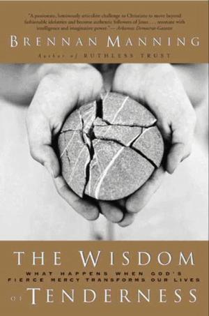 Cover of the book The Wisdom of Tenderness by Gerald Schroeder