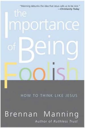 Cover of the book The Importance of Being Foolish by Marie M. Fortune