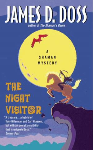 Cover of the book The Night Visitor by Nicholas Weinstock
