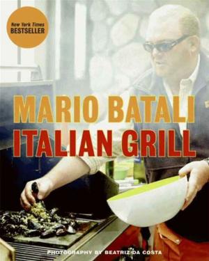 Book cover of Italian Grill