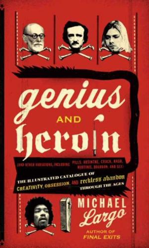 Book cover of Genius and Heroin