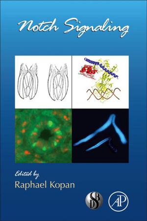 Cover of the book Notch Signaling by Michael P. Paidoussis